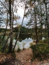 A lake in the forest on the shore of which there are coniferous trees and birches. Autumn