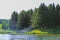 Lake in the forest in summer Royalty Free Stock Photo