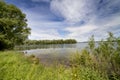 Lake and forest in sunny summer day Royalty Free Stock Photo
