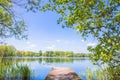 Lake in forest, water, fishing bridge, trees, sedge and ducks Royalty Free Stock Photo