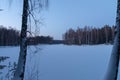 Lake in forest. Winter. Snow. Sunset