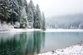 lake with forested shoreline under snowfall