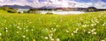 Lake Forggensee and alps mountains in Bavaria at springtime