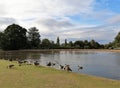 The lake in Forty Hill.