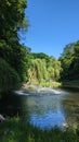 Lake, fountain, botanical garden, nature, Ukraine, Lviv