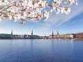 Lake with a fountain, center of Hamburg in springtime