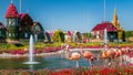 Dubai miracle garden timelapse with over 45 million flowers in a sunny day, United Arab Emirates