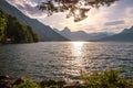 Lake Four Cantons Lucerne in Switzerland in Europe Royalty Free Stock Photo