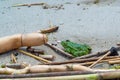 A lake frog on the beach of the city of Odessa, sailed with garbage after the explosion of the Kakhovskaya hydroelectric power