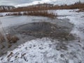 Lake with frozen surface and hole in ice with visible signs of beaver with tree trunks with beaver damage