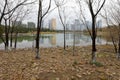 The lake of futian park, adobe rgb Royalty Free Stock Photo