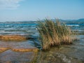 Lake Garda Landscape in Sirmione Royalty Free Stock Photo