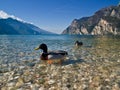 Lake Garda with a touch of ora Royalty Free Stock Photo