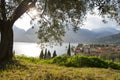 Lake garda view by sunset - sunrise - garda - italy