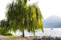 Lake Garda Royalty Free Stock Photo