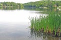 Lake Garfield, Monterey, Massachusetts Berkshires