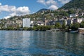 Lake Geneva with a picturesque shoreline featuring an array of vibrant green trees Royalty Free Stock Photo