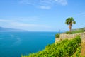 Lake Geneva in Switzerland photographed with palm tree on a sunny day with blue sky. Swiss Riviera is a popular summer vacation Royalty Free Stock Photo