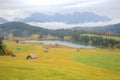 Lake Geroldsee in colorful autumn season, a beautiful alpine lake between Garmisch-Partenkirchen and Mittenwald with foggy Royalty Free Stock Photo
