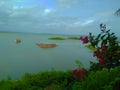 Lake and grass and flower in sky cloudy scence. Beautyful water lake in white boat, water side green plant of flower and grass Royalty Free Stock Photo