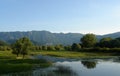 Lake and greenery on a clear summer day against the backdrop of mountains and blue sky Royalty Free Stock Photo