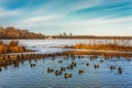 Lake Harriet in Minneapolis Minnesota