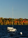 Lake Harriet Sail Boat against Colorful Autumn Foliage