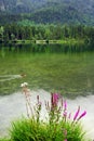 Rainy day at Hintersee Lake, Bavaria, Germany