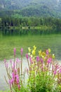 Rainy day at Hintersee Lake, Bavaria, Germany