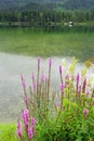 Rainy day at Hintersee Lake, Bavaria, Germany