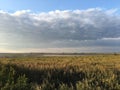 Lake at HortobÃÂ¡gy National Park