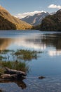 Lake Howden in Fiordland National Park Royalty Free Stock Photo