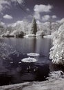 Lake infrared