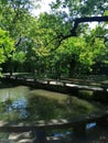 A Lake inside Xi Yuan / Western Garden temple at Suzhou City China