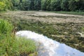 Lake - Jankovac, Papuk, Croatia