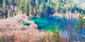 Lake in Jiuzhai Valley 2 Royalty Free Stock Photo