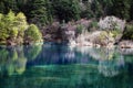 Lake at Jiuzhaigou with colorful tress and blue water Royalty Free Stock Photo