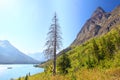 Lake Josephine Glacier National Park Royalty Free Stock Photo