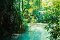 Lake in the jungle Royalty Free Stock Photo