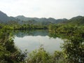 Lake jungle hills Indonesia copy space