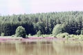 The lake Kammerweiher in Frankonia in Germany