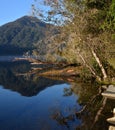 Lake Kaniere Shoreline Relections, New Zealand