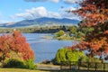 Lake Karapiro, New Zealand, with bright autumn foliage