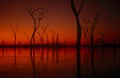 Lake Kariba sunset, Zimbabwe Royalty Free Stock Photo