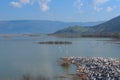 Lake Karla , Greece , wild flora and fauna