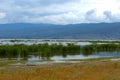 Greece , Volos city , Lake Karla ,environment