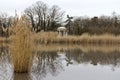 Lake at Karolyi palace Royalty Free Stock Photo