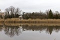 Lake at Karolyi palace Royalty Free Stock Photo