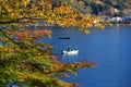 Lake Kawaguchiko Royalty Free Stock Photo