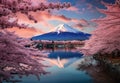 Fuji Mountain And Cherry Blossoms In Spring Royalty Free Stock Photo